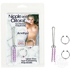  ��������� ����� ��������� AMETHYST 2612-14 CD SE