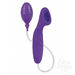  ������������ ���������� BODY&SOUL SCINTILLATION PURPLE 4538-10BXSE