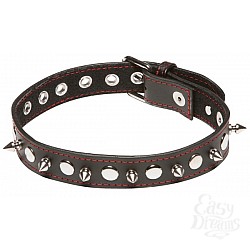  ������� � ������ X-Play Spiked Collar