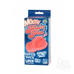  �����-����������� PALM PAL ����