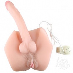 Фалоc и Вагина BM-009042 Фалоc и Вагина BM-009042