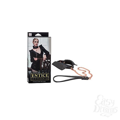 ���������� 1:  �������-���������� Entice Chelsea Collar with Leash � ��������-����� ������