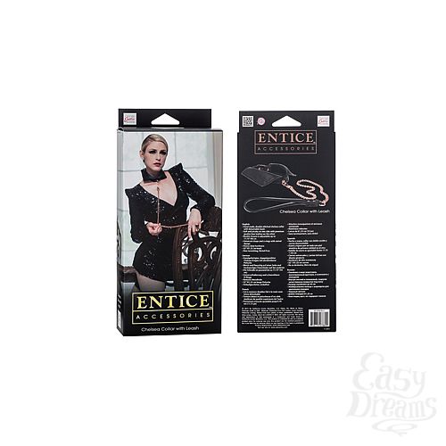 ���������� 3  �������-���������� Entice Chelsea Collar with Leash � ��������-����� ������