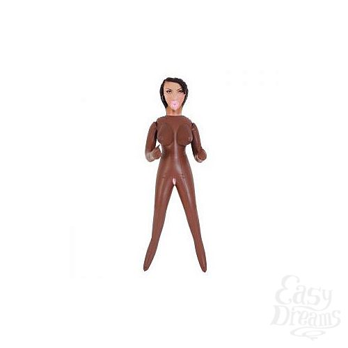 ���������� 2  ����� ��������, ����������