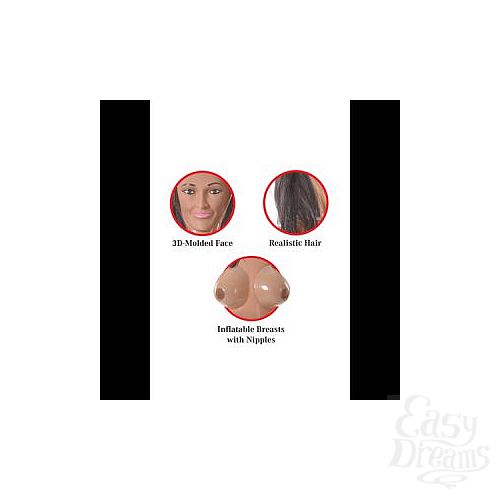 ���������� 3  ����� �������� PDX Dollz - Katie Cougar.