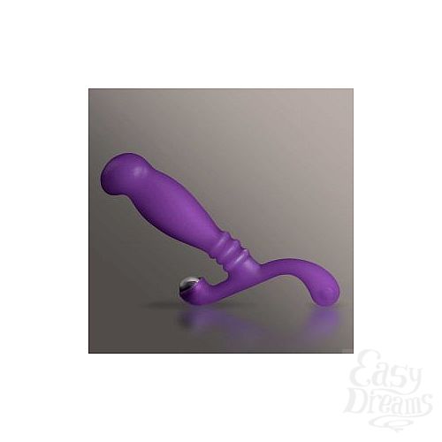 ���������� 1:  ���������� �������� Nexus Glide Purple