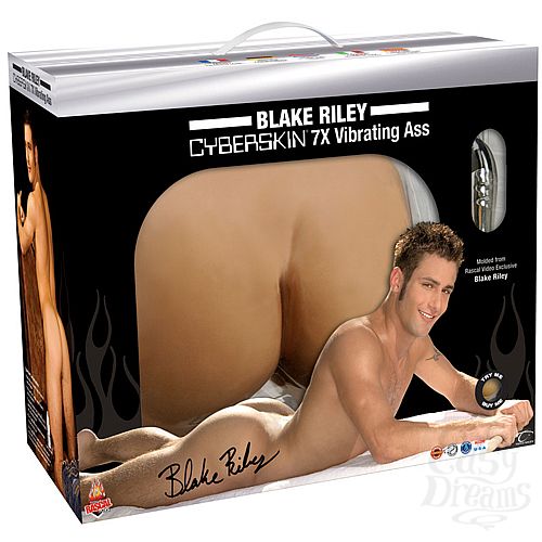 ���������� 3  ����������� ������� ����� � �������� BLAKE RILEY 9045-7 BX TS