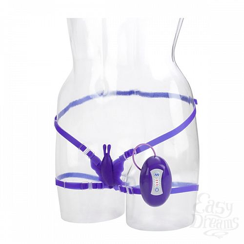 ���������� 2  ������� 7 FUNCTION BUTTERFLY BLISS PURPLE 0582-45BXSE