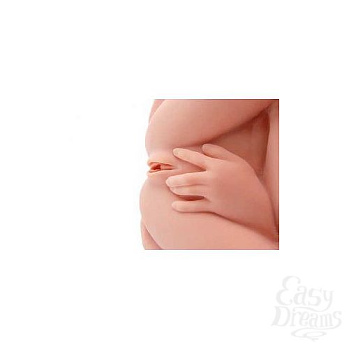 ���������� 2  ������������ �����������-������� � ����� ������ ����������� � �������� ��������