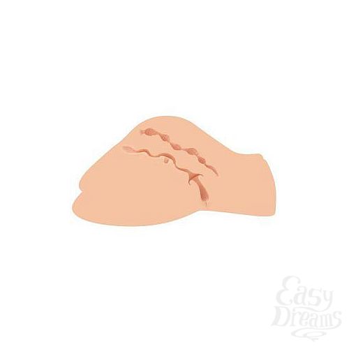 ���������� 4  ����������� � ���������, ��������� � ������� HERA BUTT