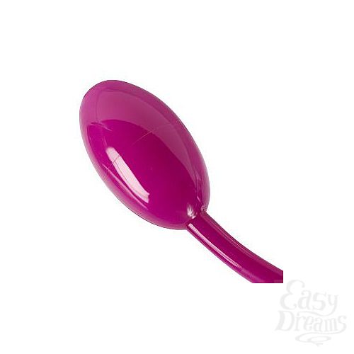 ���������� 2  ��������� �������� ���������� Flex-a-Pleasure