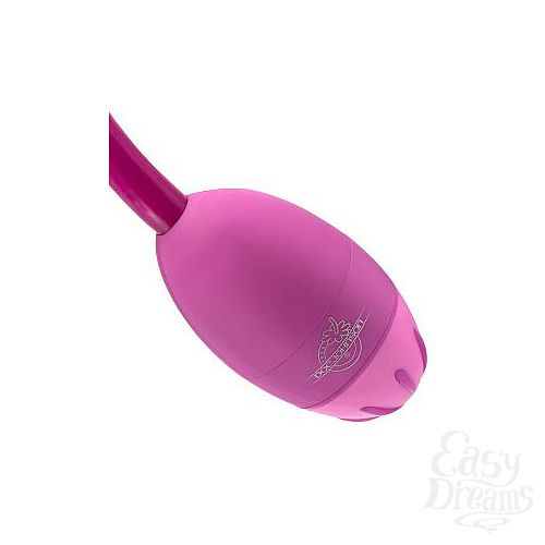 ���������� 3  ��������� �������� ���������� Flex-a-Pleasure