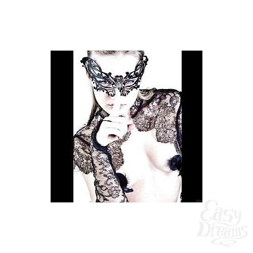 ���������� 1:  ������������ ����� Soldo Daria