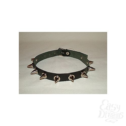  1:      1,5    P221b