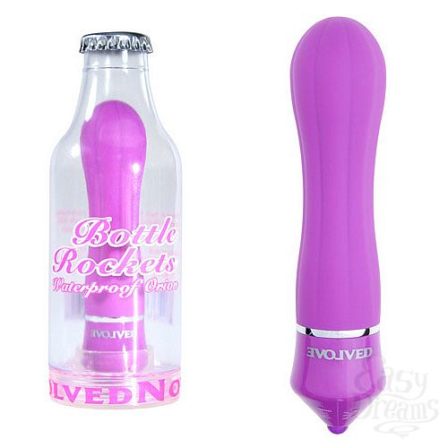 ���������� 1:  �������� � ������� ���������� BOTTLE ROCKETS ORION EN-AH-0004-02-2