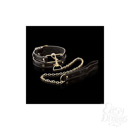 ���������� 1:  ������� � �������� Collar   Leash
