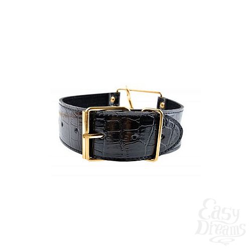 ���������� 2  ������� � �������� Collar   Leash