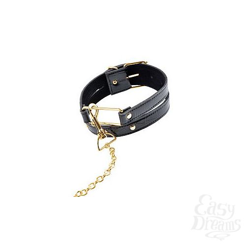 ���������� 3  ������� � �������� Collar   Leash
