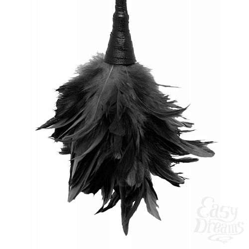���������� 4  �������� Frisky Feather Duster