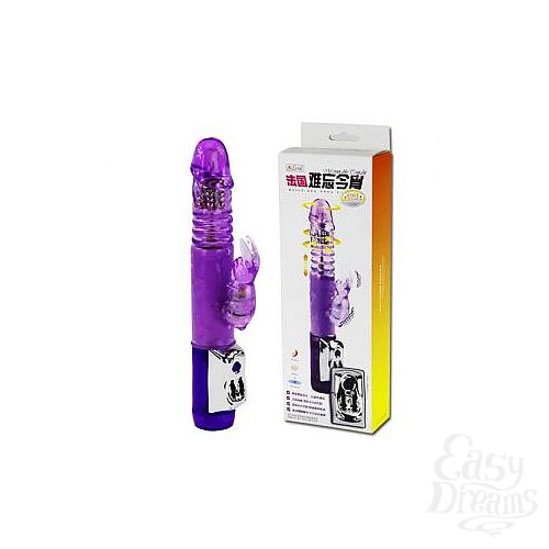  1:   -  Mr.Rabbit Up and Down - 24 .