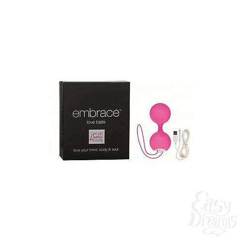 ���������� 2  ������� ����������� ����������� Embrace