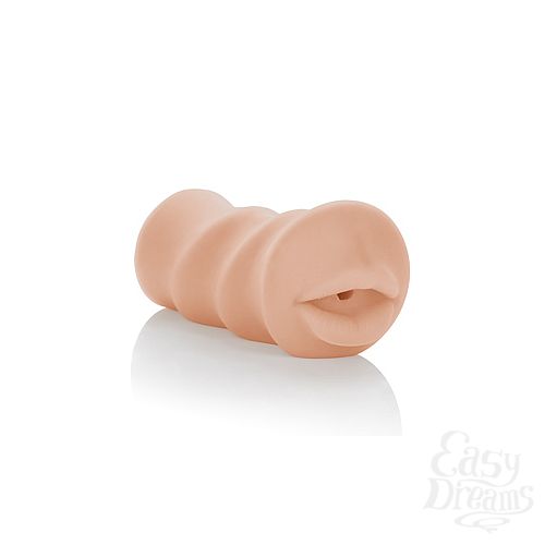 ���������� 2  ����������� ����� Vivid Raw Fuck It (Mouth) ��������