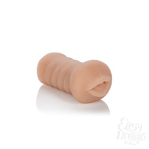 ���������� 2  ����������� ����� Vivid Raw Hot Ass Mouth  ��������