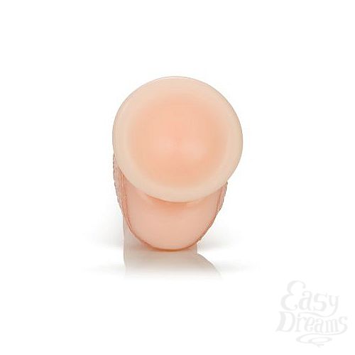  6    Crystal Cote - 14,5 .