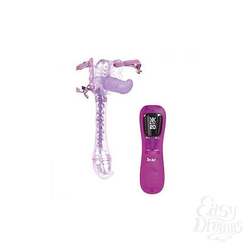  1:     DAZZLING DRAGON FLY - 14 .