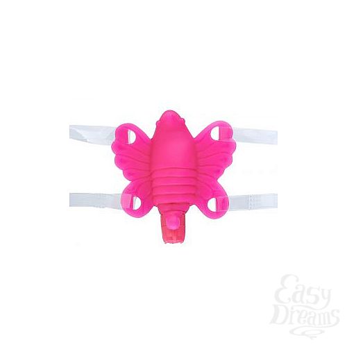  1:     Butterfly Baby 