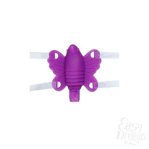  1:     Butterfly Baby 