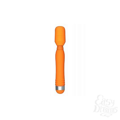 ���������� 1:  ��������� �������� FUNKY WAND MASSAGER - 20 ��.
