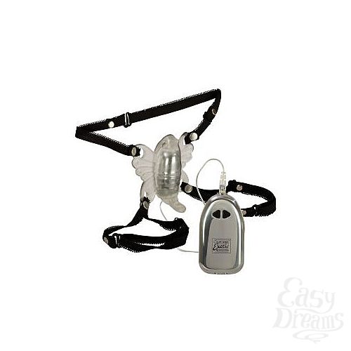  1:     Venus Butterfly