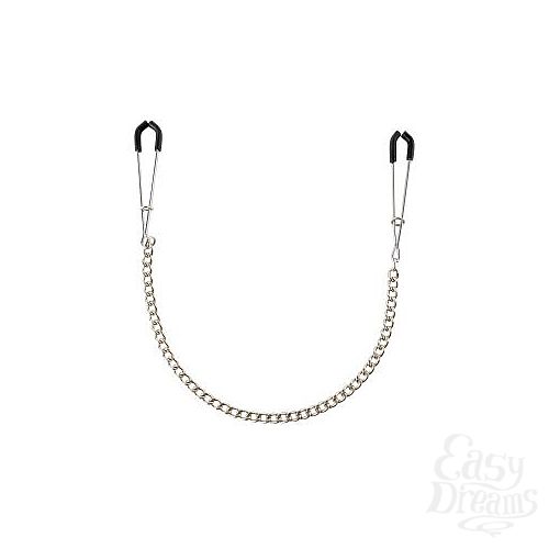 ���������� 2  ������ ��� ������ Nipple Tweezer Clamps Silver