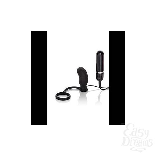 ���������� 2  ������������� �������� Dr. Joel Kaplan 10-Function Prostate Massager   Ring � ����������� �������