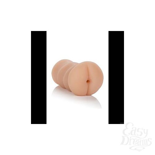 ���������� 2  ����������� ���� Vivid Raw Bang It