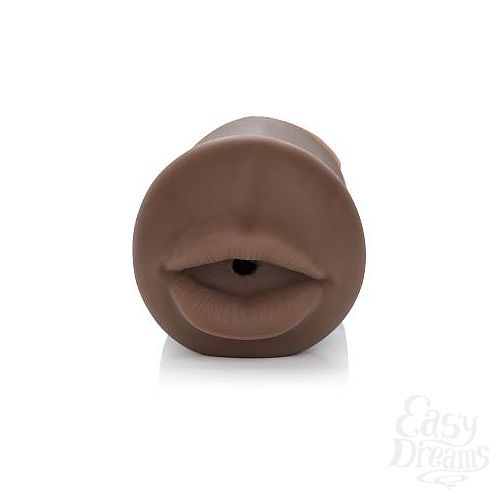 ���������� 4  �����������-����� VIVID RAW FUCK IT 