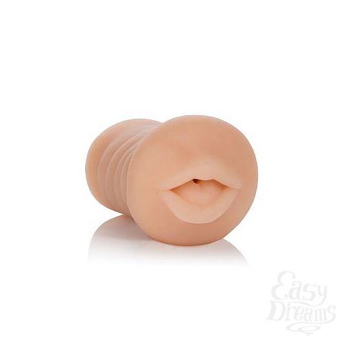 ���������� 2  �����������-����� Vivid Raw Hot Ass Mouth 