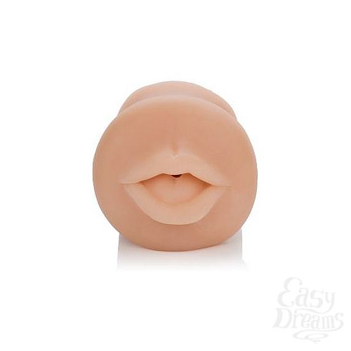 ���������� 4  �����������-����� Vivid Raw Hot Ass Mouth 