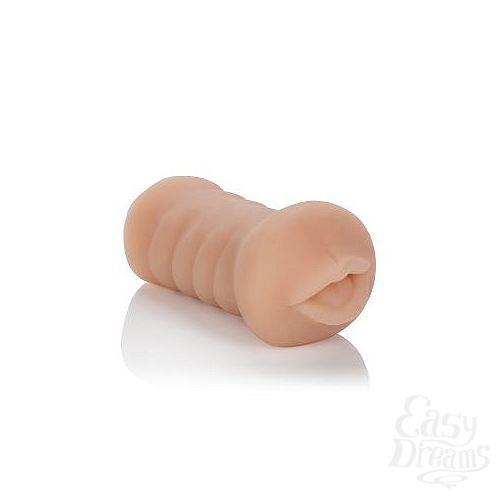 ���������� 6  �����������-����� Vivid Raw Hot Ass Mouth 