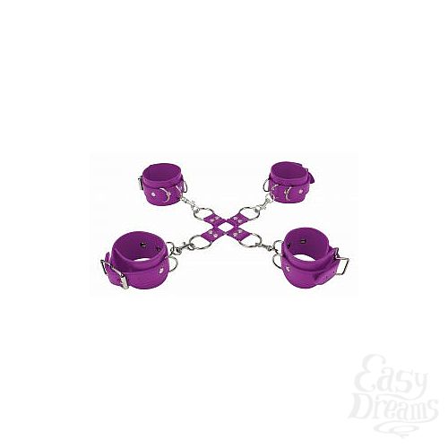 ���������� 1:  ���������� �������� ���� Hand And Legcuffs 