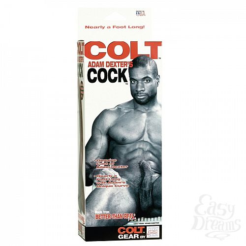 ���������� 2  ������������� COLT ADAM DEXTER DONG 6826-03BXSE