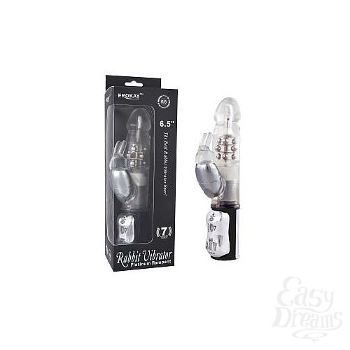  1:   Classicle Rabbit Silver   - 24 .