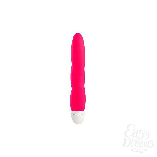 ���������� 2  ������� �������� JAZZIE - 17,8 ��.