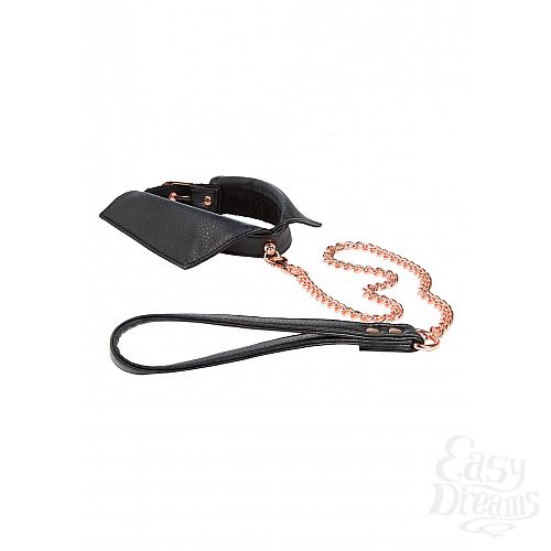  1:    Entice Chelsea Collar with Leash