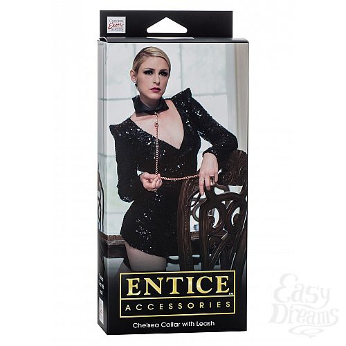  2    Entice Chelsea Collar with Leash