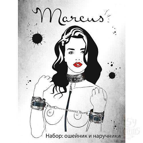 ���������� 3  ��������� ����� ������������ �����: ������� � ���������