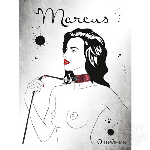 ���������� 3  ������� ��������� ������� 