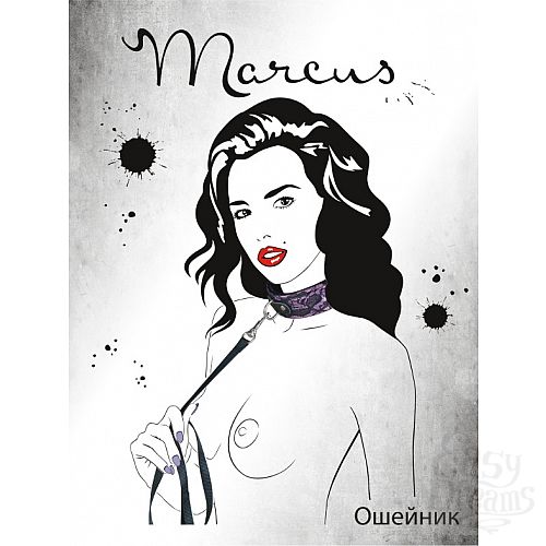 ���������� 3  ��������� ��������� ������� 