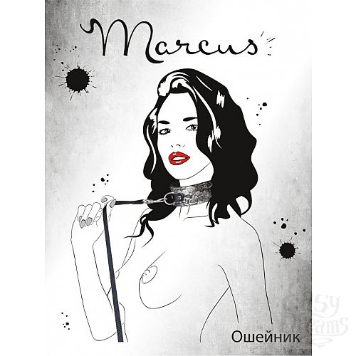 ���������� 3  ����������� ��������� ������� 